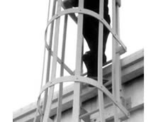 Safety Ladders & Cage Systems