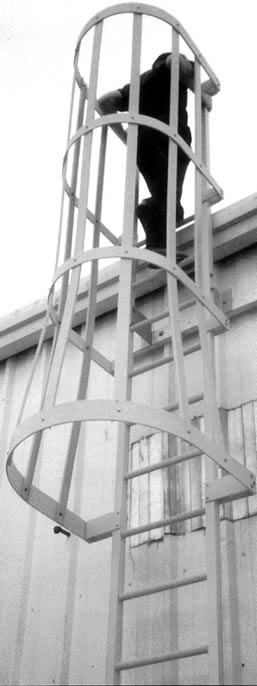 Safety Ladders & Cage Systems
